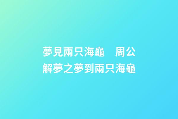 夢見兩只海龜　周公解夢之夢到兩只海龜